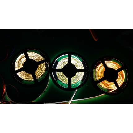 Dowble row 3528 240led led flex strip 19.2W/m