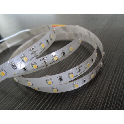 3528 2chips color adjustable strip