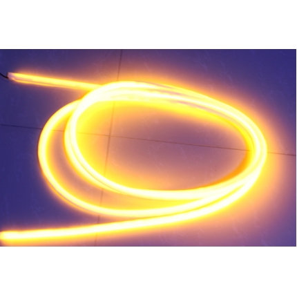  IP66 Waterproof  SMD3528/5050 Guiding light strip 12V/24V