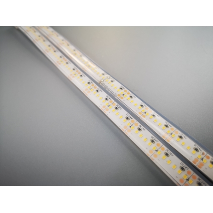 2216 IP68Waterproof led strips 