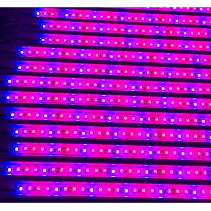 Plants Grow LED rigid strip light