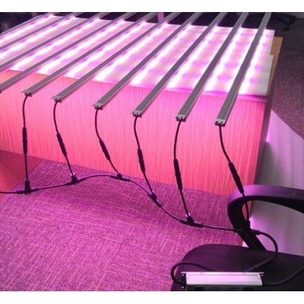Plants Grow LED rigid strip light