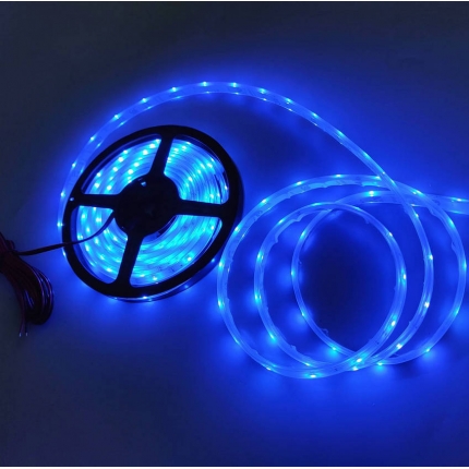 3528 Blue LED strip Light IP68