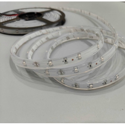 3528 Blue LED strip Light IP68