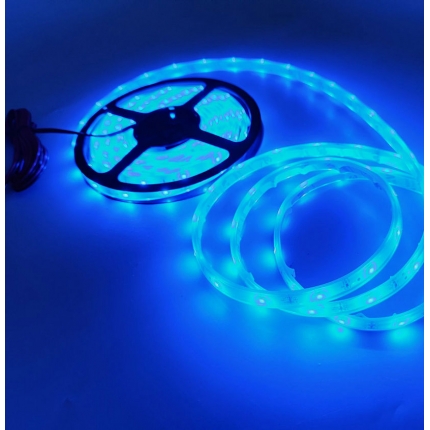 3528 Blue LED strip Light IP68