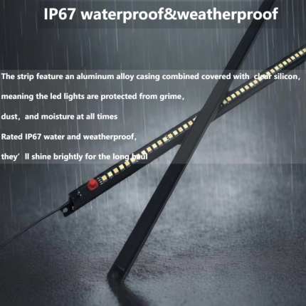 Dual-color Camping Light with RF